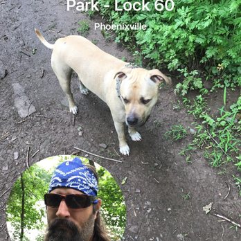 Schuylkill Canal Park - Lock 60 - Out for a walk and a swim - Parks Near Me - Phoenixville, Pennsylvania Schuylkill Canal Park - Lock 60 - Out for a walk and a swim - Parks Near Me - Phoenixville, Pennsylvania