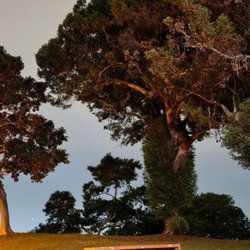 Villa Monserate Park - Evening photo from cellular with night mode features.