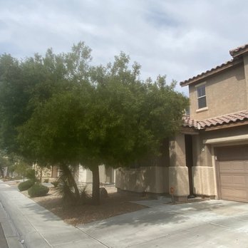 Treepro - Before.... - Tree Services Near Me - Las Vegas, Nevada Treepro - Before.... - Tree Services Near Me - Las Vegas, Nevada