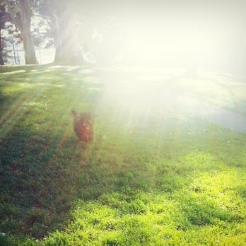 Holly Park - Nathan discovered that it's much more fun being outdoors than staying home (pobre cito).  LOL :p - Parks Near Me - San Francisco, California