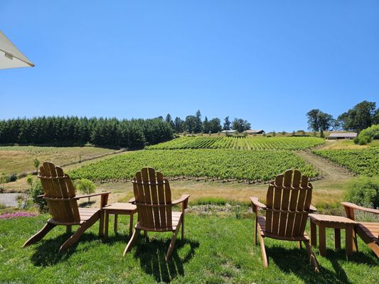 Domaine Divio by null