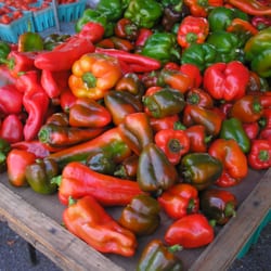 New Canaan Farmers Market