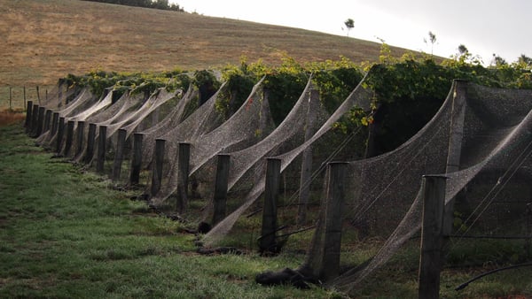 Tantalus Estate by null