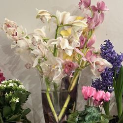 Brattle Square Florist