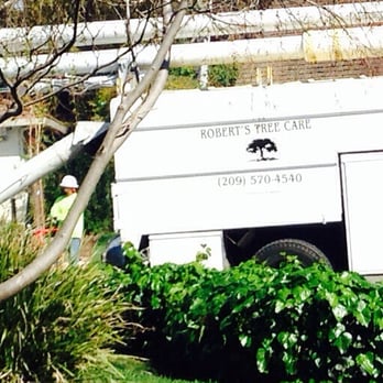 Robert's Tree Care - Brought the right equipment. - Tree Services Near Me - Stockton, California