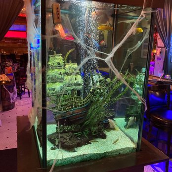 Riondo's Ristorante - Nice aquarium inside entrance - Italian Near Me - Galveston, Texas Riondo's Ristorante - Nice aquarium inside entrance - Italian Near Me - Galveston, Texas
