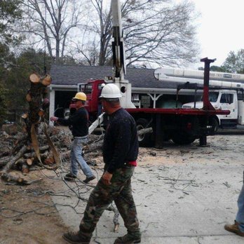 Linander's Tree Service - Tree Services Near Me - Columbus, Georgia Linander's Tree Service - Tree Services Near Me - Columbus, Georgia