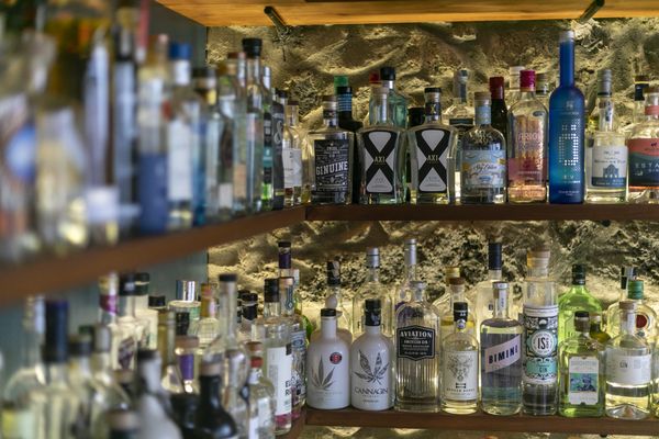 The Gin Library - The Worlds Largest Gin Collection by null
