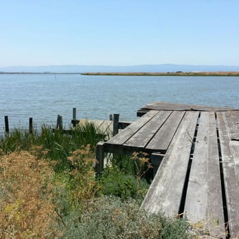 Coyote Creek Lagoon - Mountain Biking Near Me - Fremont, California