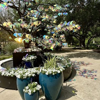 San Antonio Botanical Garden - Art installation  4/2026 - Botanical Gardens Near Me - San Antonio, Texas