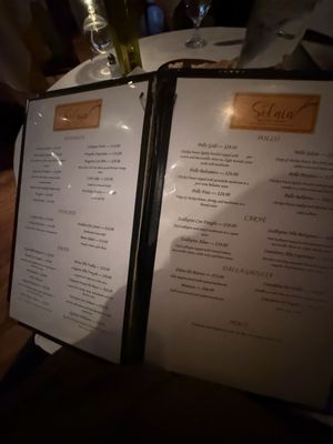 Menu photo 1 Solaia Restaurant Monticello, NY Menu photo 1 Solaia Restaurant Monticello, NY
