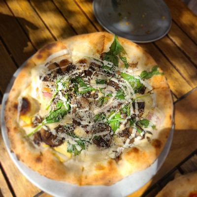 Donna Jean by null Donna Jean by null