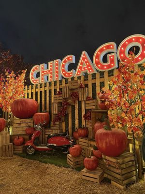 Jack's Pumpkin Pop-up by null