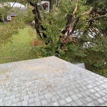 Roman Tree Services - A shot from the roof showing where the tree broke off and the roof it fell on to after being taken care of. - Tree Services Near Me