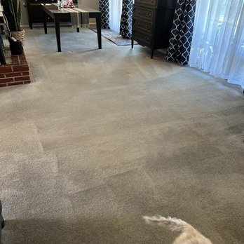 KC Cleaning & Maintenance - This carpet used to look brown from the dirt! - Carpet Cleaning Near Me - Philadelphia, Pennsylvania KC Cleaning & Maintenance - This carpet used to look brown from the dirt! - Carpet Cleaning Near Me - Philadelphia, Pennsylvania