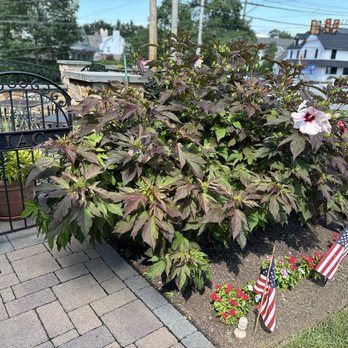 Italian American Club - Community Service/Non-Profit Near Me - Wayne, Pennsylvania Italian American Club - Community Service/Non-Profit Near Me - Wayne, Pennsylvania