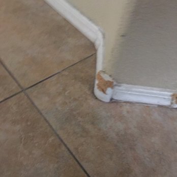 Evolution Painting - Drywall Installation & Repair Near Me Evolution Painting - Drywall Installation & Repair Near Me