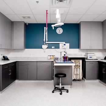 GoodVets West Loop - Veterinarians Near Me - Chicago, Illinois GoodVets West Loop - Veterinarians Near Me - Chicago, Illinois