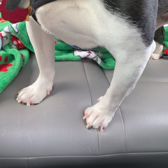 Planet Pet Spa - Pet Groomers Near Me - San Antonio, Texas Planet Pet Spa - Pet Groomers Near Me - San Antonio, Texas