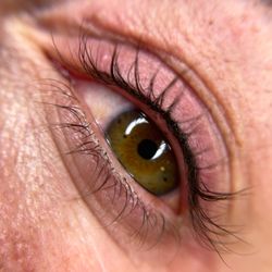 White Moth - LASH ENHANCEMENT