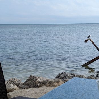 Lazy Days Restaurant - Excellent view. 10 feet from the water - Seafood Near Me - Islamorada, Florida