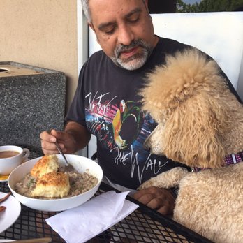 Dirtbag Tea Cafe - Dogs welcome at the outside dining. - Cafes Near Me - Orangevale, California