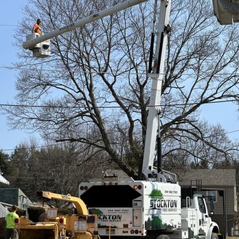 Stockton Tree Service - Tree Services Near Me - Scottdale, Pennsylvania Stockton Tree Service - Tree Services Near Me - Scottdale, Pennsylvania