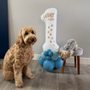 Photo of Boujee Bubbles Dog Grooming