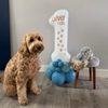 Boujee Bubbles Dog Grooming gift card
