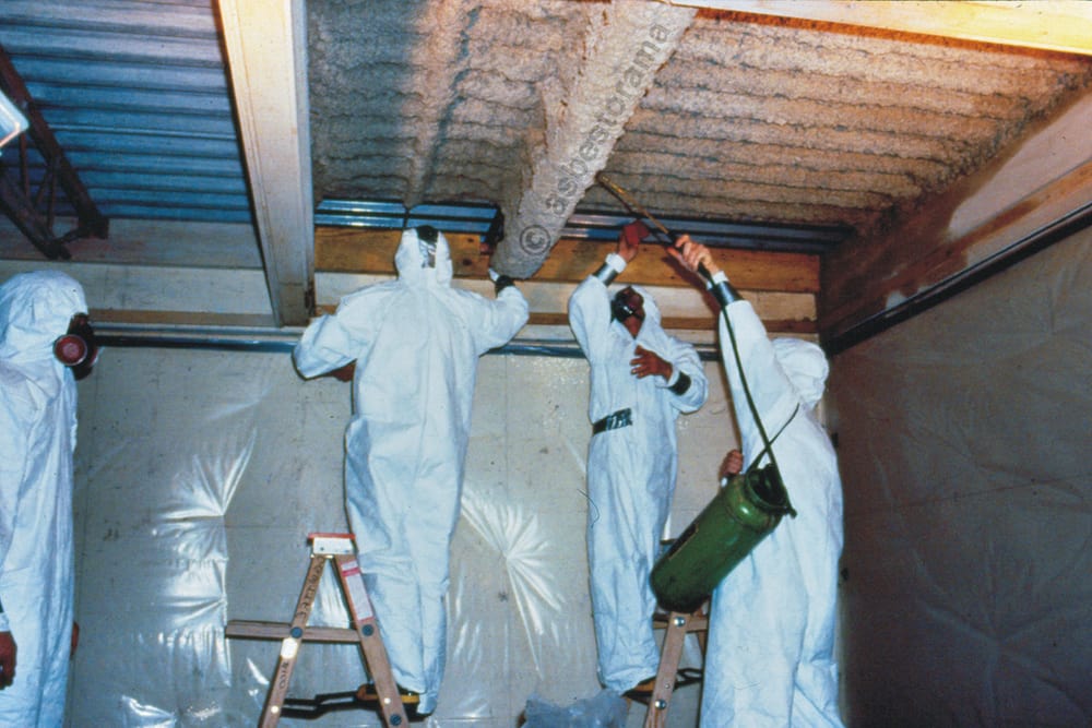 E.I.C.S., Environmental Inspection & Control Services - mold inspector in Reno, NV