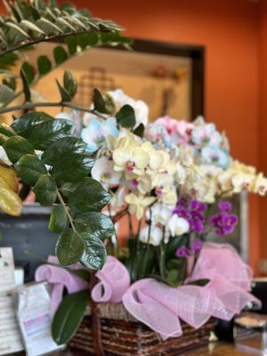 Banh Cuon Tay Ho 4 by null