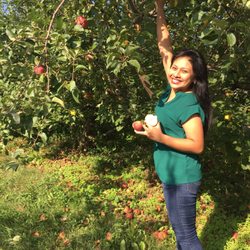 Johnson's Orchard