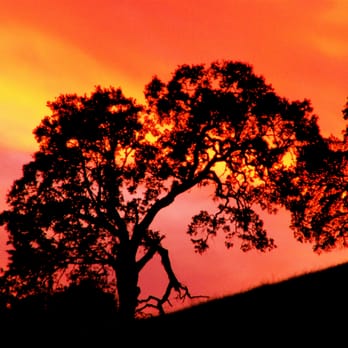 Rancho Cicada Retreat - Beautiful sunsets! - Venues & Event Spaces Near Me - Plymouth, California Rancho Cicada Retreat - Beautiful sunsets! - Venues & Event Spaces Near Me - Plymouth, California