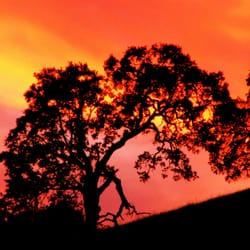 Beautiful sunsets!