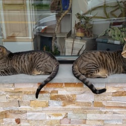 3rd Universe Comic - Spock and Daenerys lounging outside