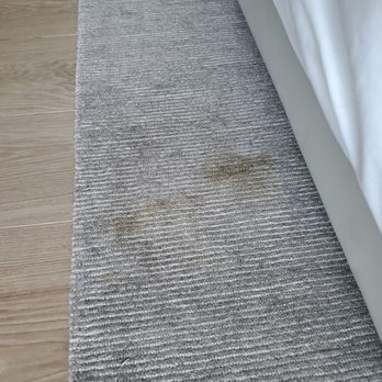 Kimpton EPIC Hotel - Shit on the carpet - Hotels Near Me - Miami, Florida Kimpton EPIC Hotel - Shit on the carpet - Hotels Near Me - Miami, Florida