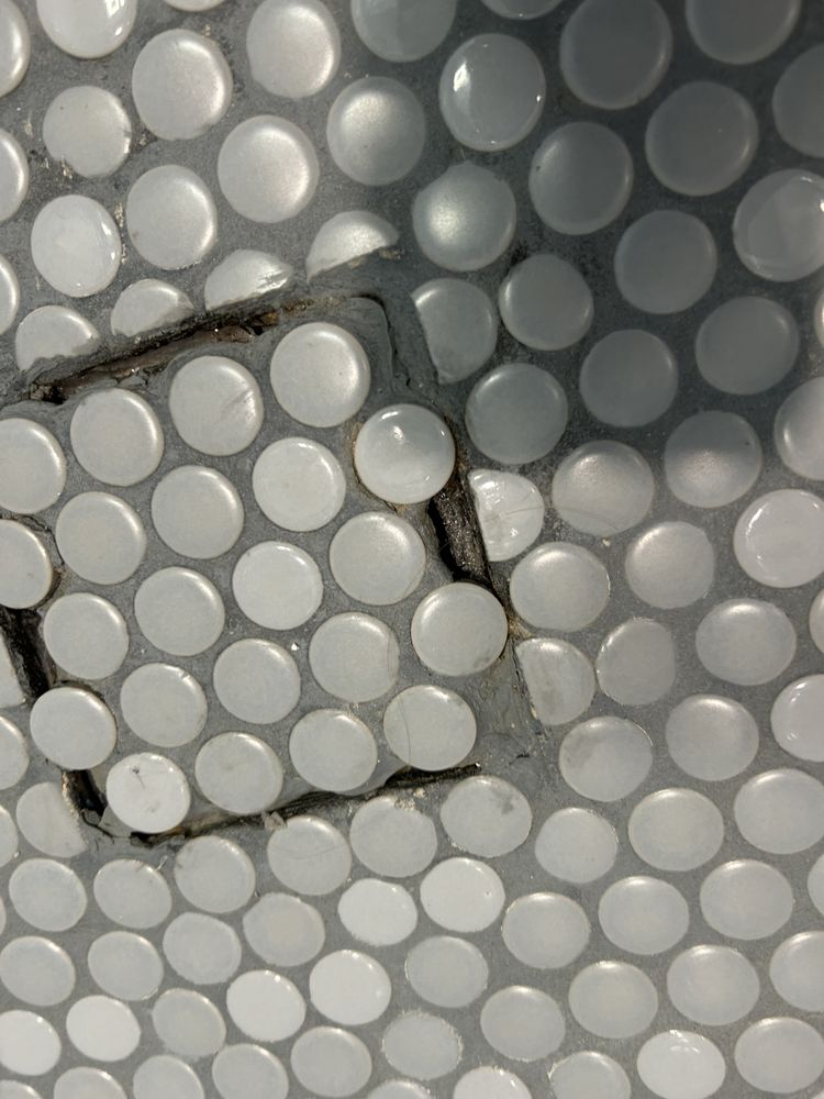 Slide of Buzzard Builds