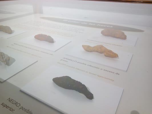 Casa de la Ciencia by null