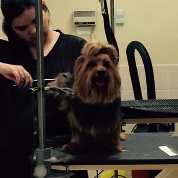 Petco - Ashley taking care of London - Pet Training Near Me - Riverside, California