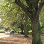 Photo of St Andrews Park