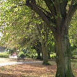 St Andrews Park - Taken from their website
