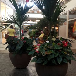 Ponteio Lar Shopping