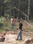 Slide of Fortner Construction and Tree Service