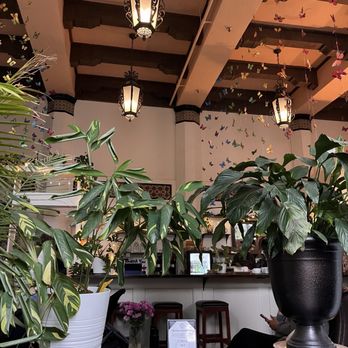 Piedmont Cafe - Coffee & Tea Near Me - Seattle, Washington Piedmont Cafe - Coffee & Tea Near Me - Seattle, Washington