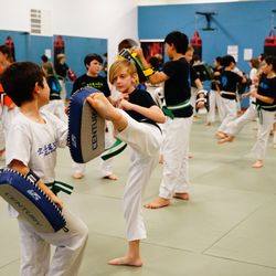 Karatedo Shinyokai