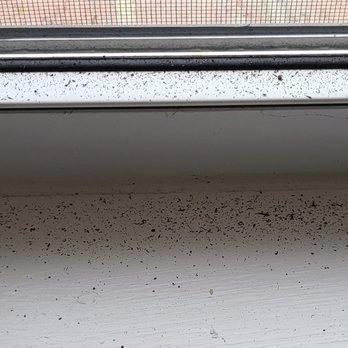 Sunscape Apartments - This all blew in through the leak, when the window was closed - Apartments Near Me - Roanoke, Virginia