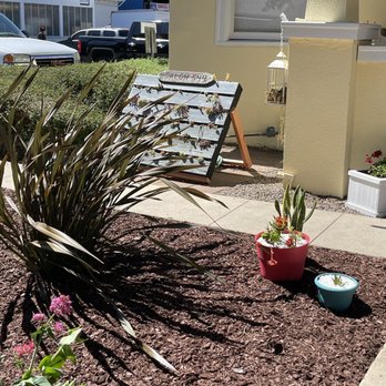 Salon 544 - A succulent pallet that adds a personal touch to the salon - Skin Care Near Me - San Luis Obispo, California Salon 544 - A succulent pallet that adds a personal touch to the salon - Skin Care Near Me - San Luis Obispo, California