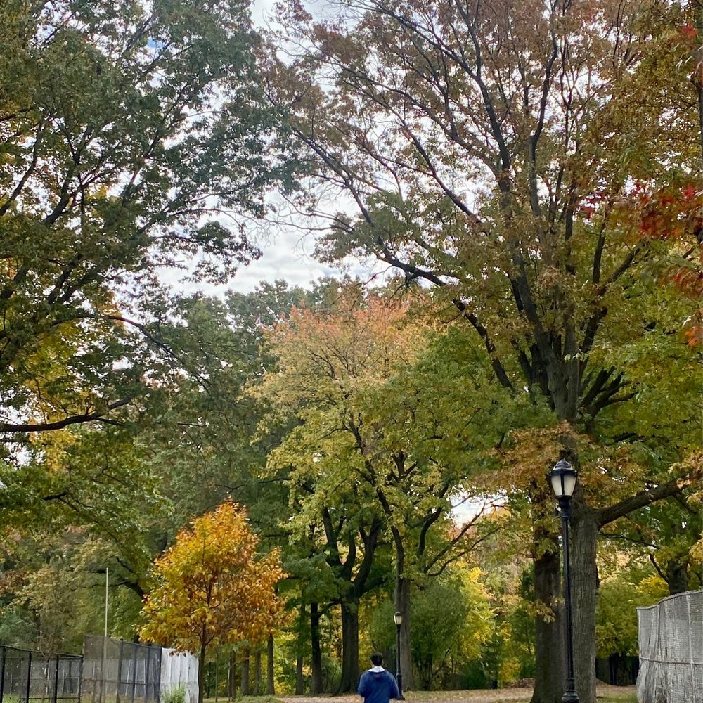 Van Cortlandt Park  - Parks Near Me - Bronx, New York