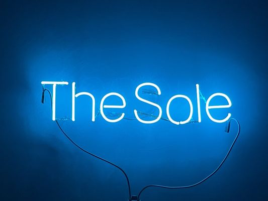 The Contented Sole by null