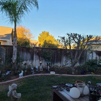 Efrain Tree Services - Tree Services Near Me Efrain Tree Services - Tree Services Near Me